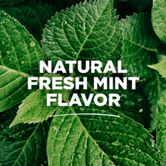 Tom's of Maine Whole Care alcohol-free mouthwash offers minty freshness without alcohol