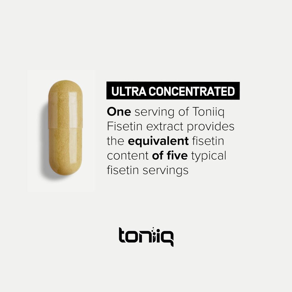 Toniiq Fisetin 500mg third-party lab report indicating independent quality verification.