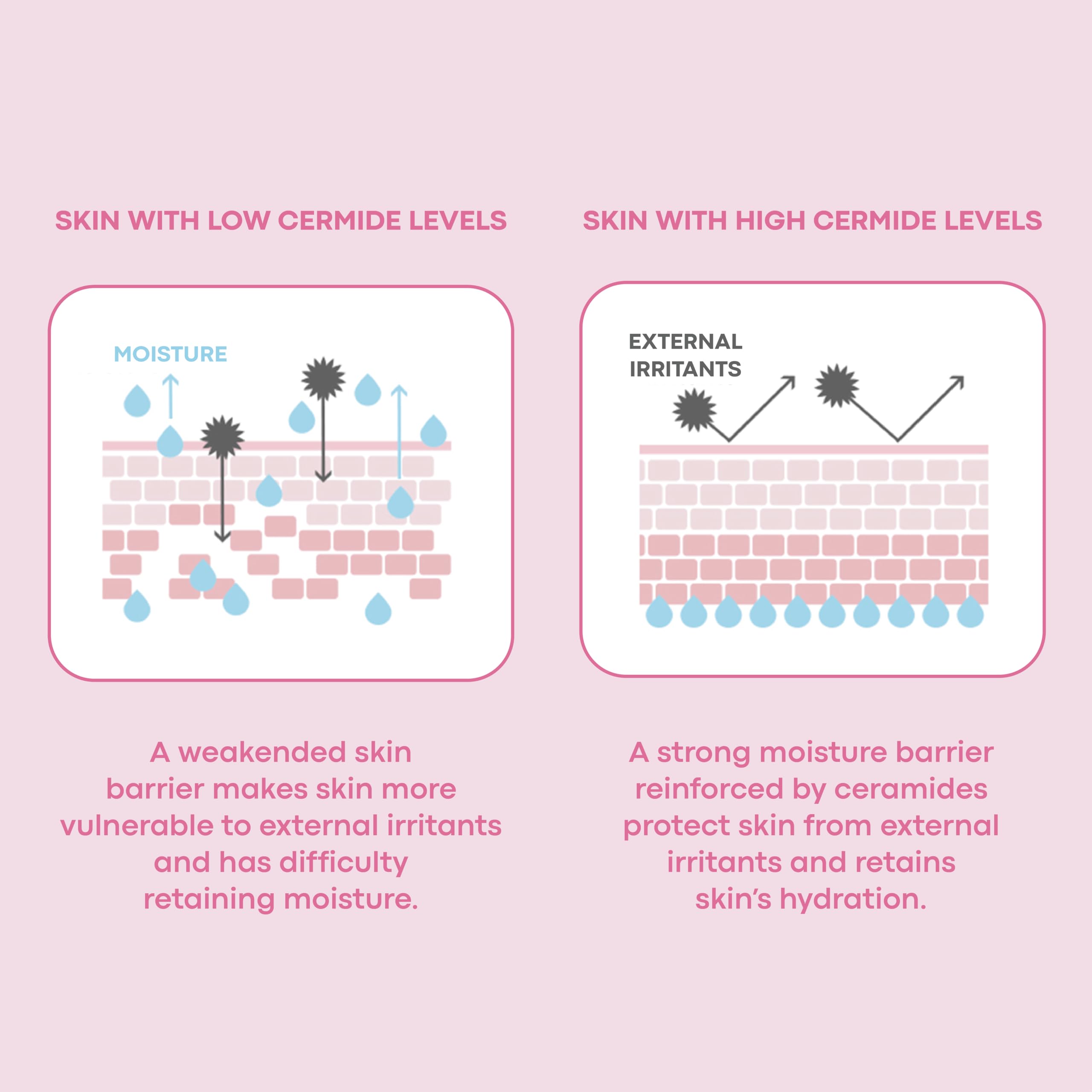 TONYMOLY Wonder Ceramide Mochi Milky Toner applied with a cotton pad in routine.