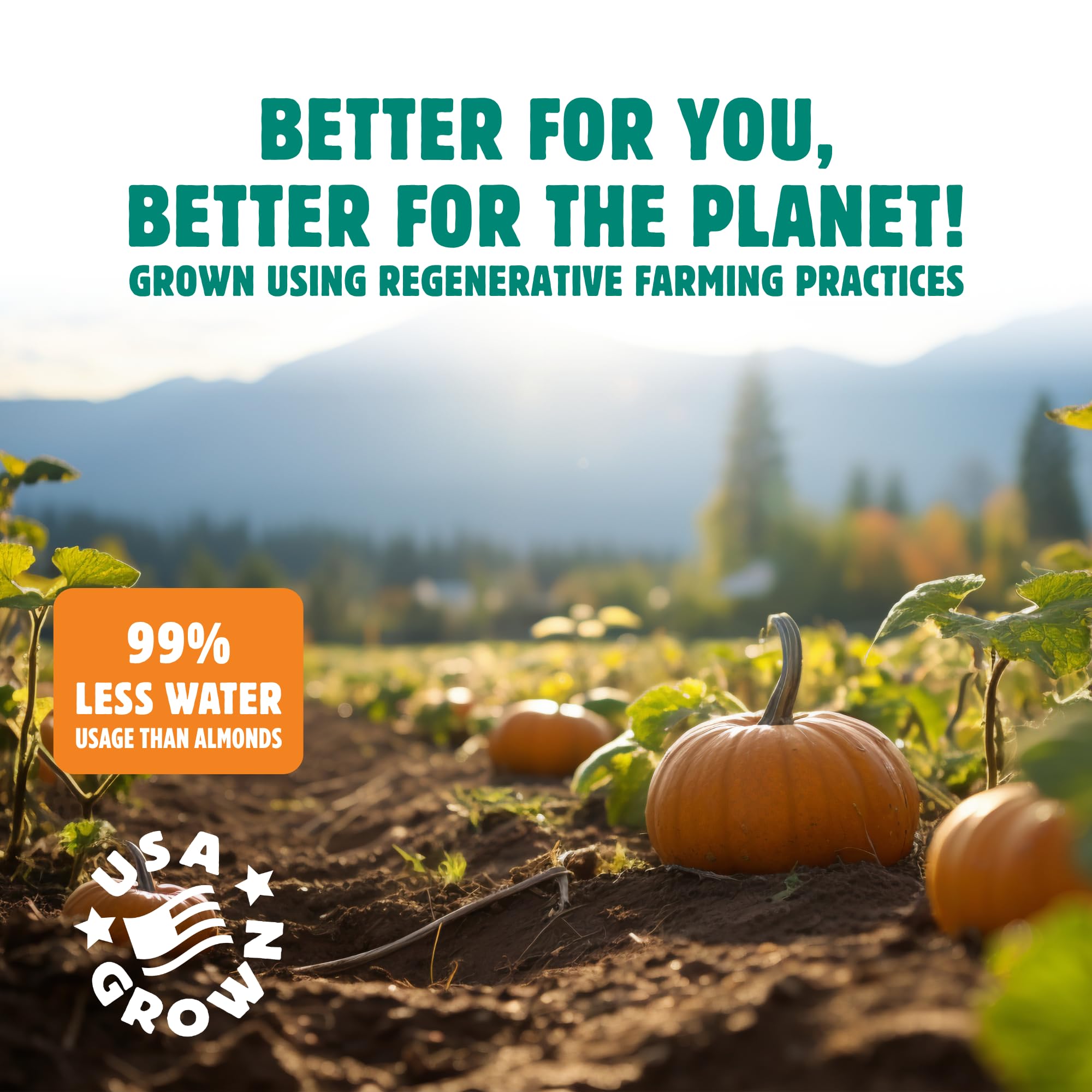 Top Fox pumpkin seeds made in USA with regenerative organic farming