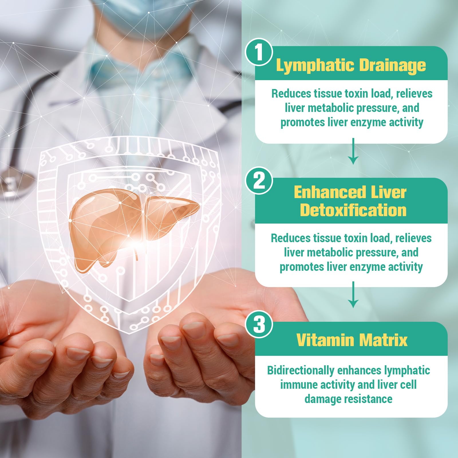 Totaria ingredient highlight image emphasizes fucoxanthin-rich algae and botanicals