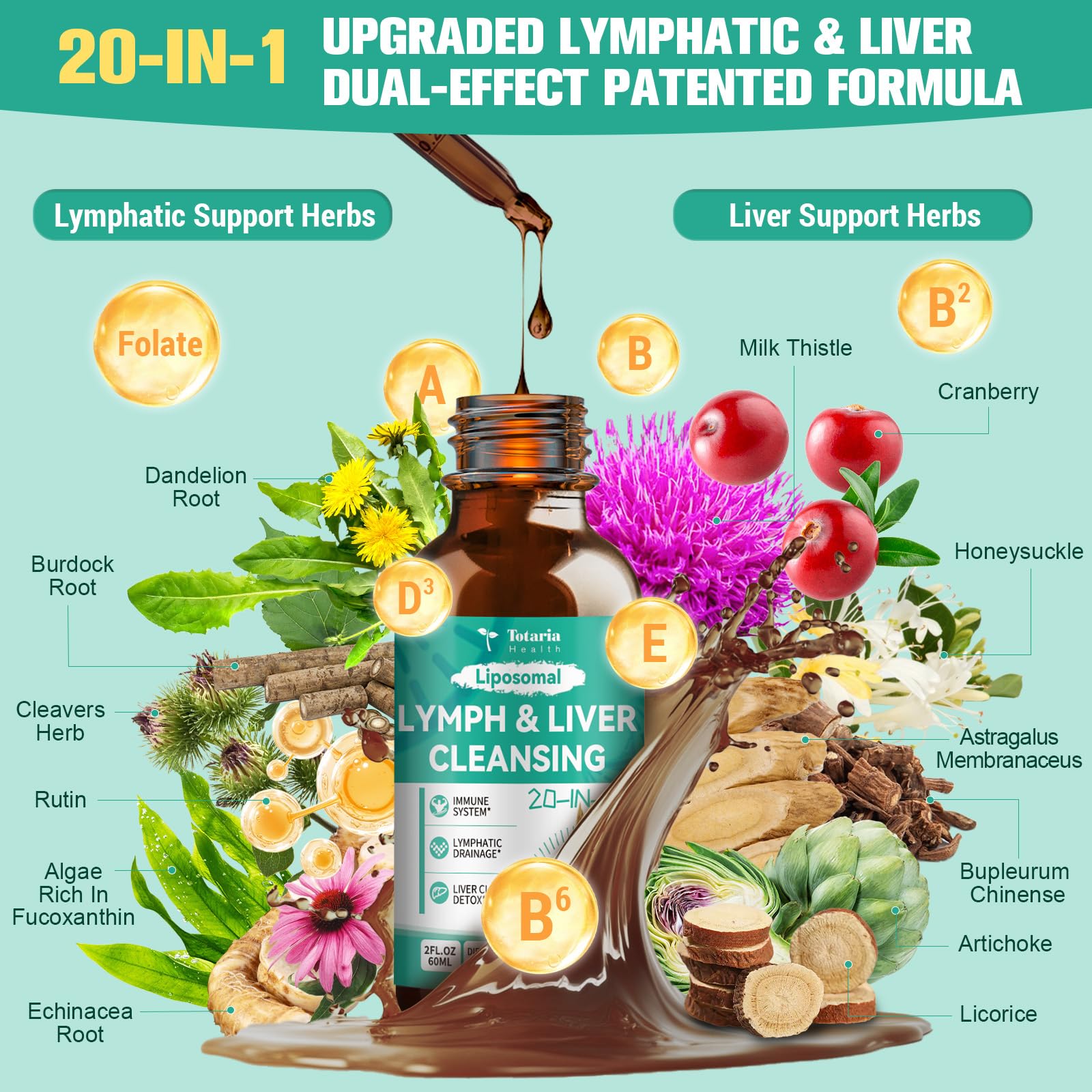 Totaria lymph drainage herbal blend close-up highlights immune support potential