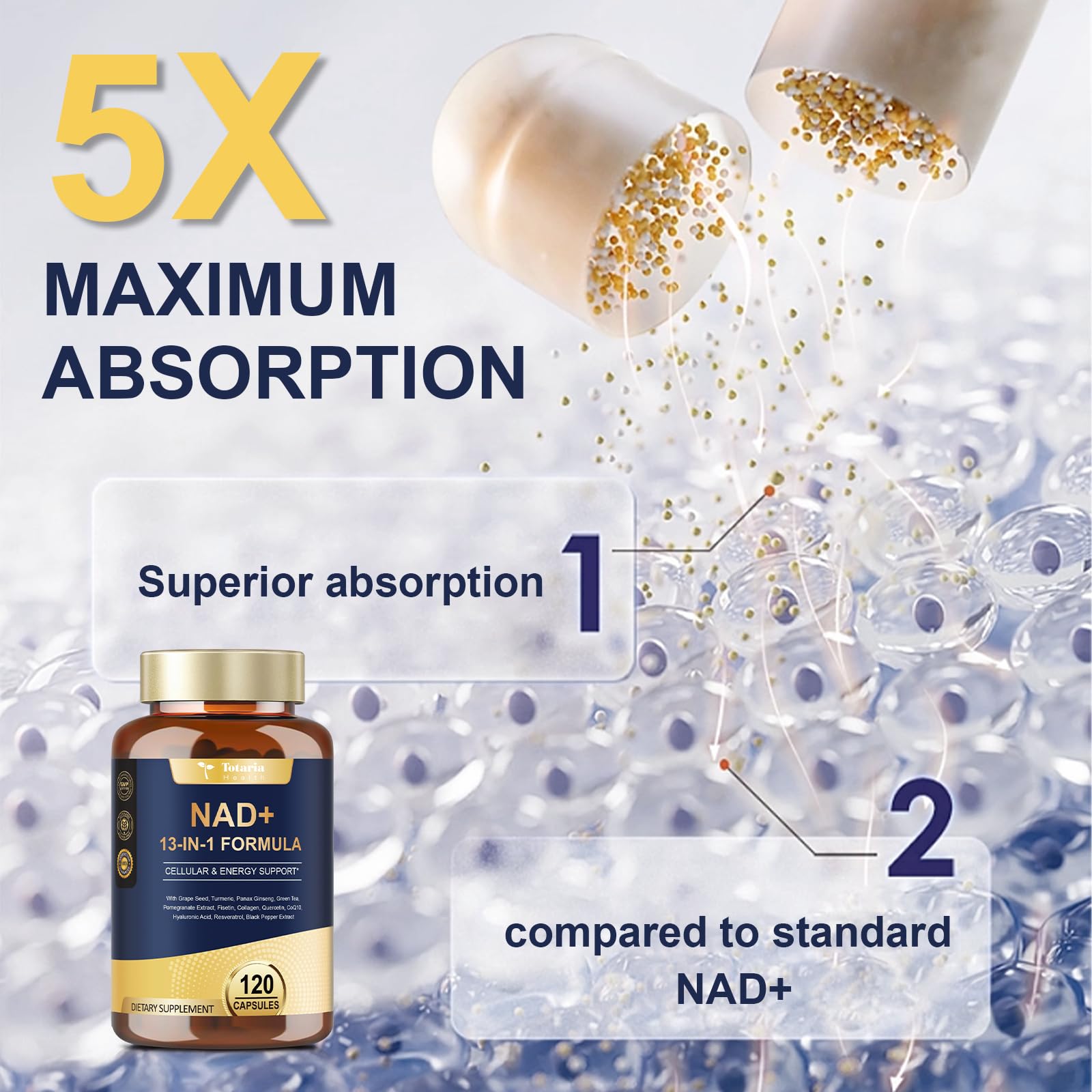 Totaria NAD supplement ingredients blend highlighting 13 natural extracts.