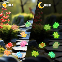 Touch Top luminous mini resin turtles are tiny and easy to hide for games and scavenger hunts
