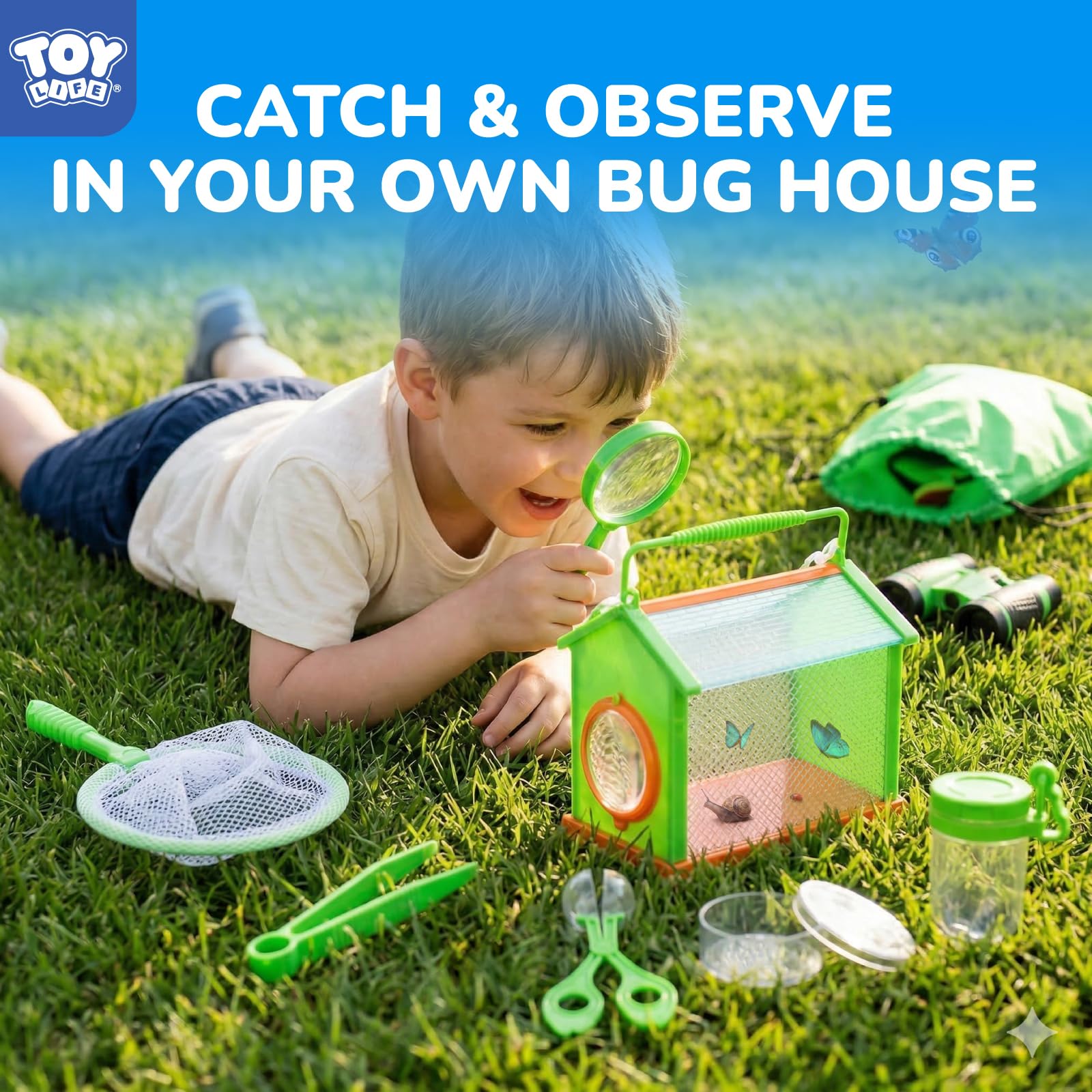 TOY Life observation jar for temporary bug display and study.