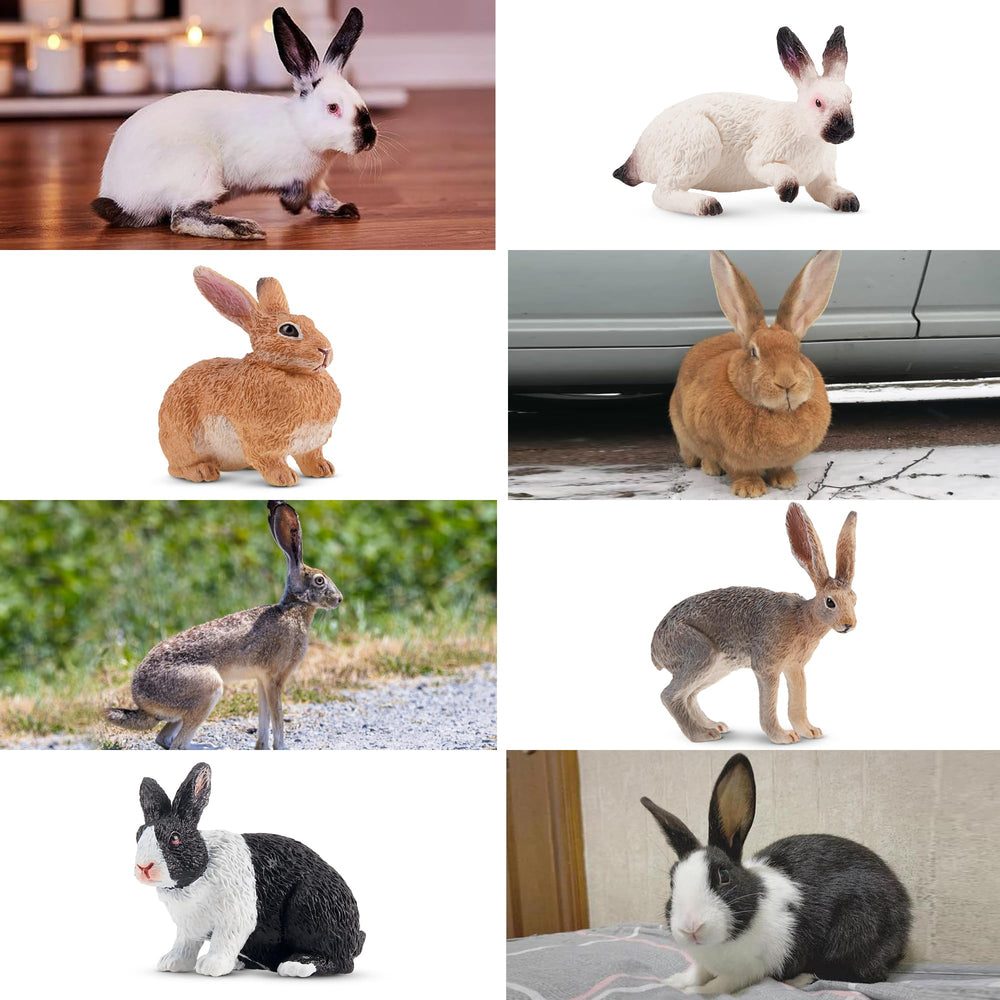 Toymany Flemish Giant rabbit figure delivers dramatic scale for table toppers.