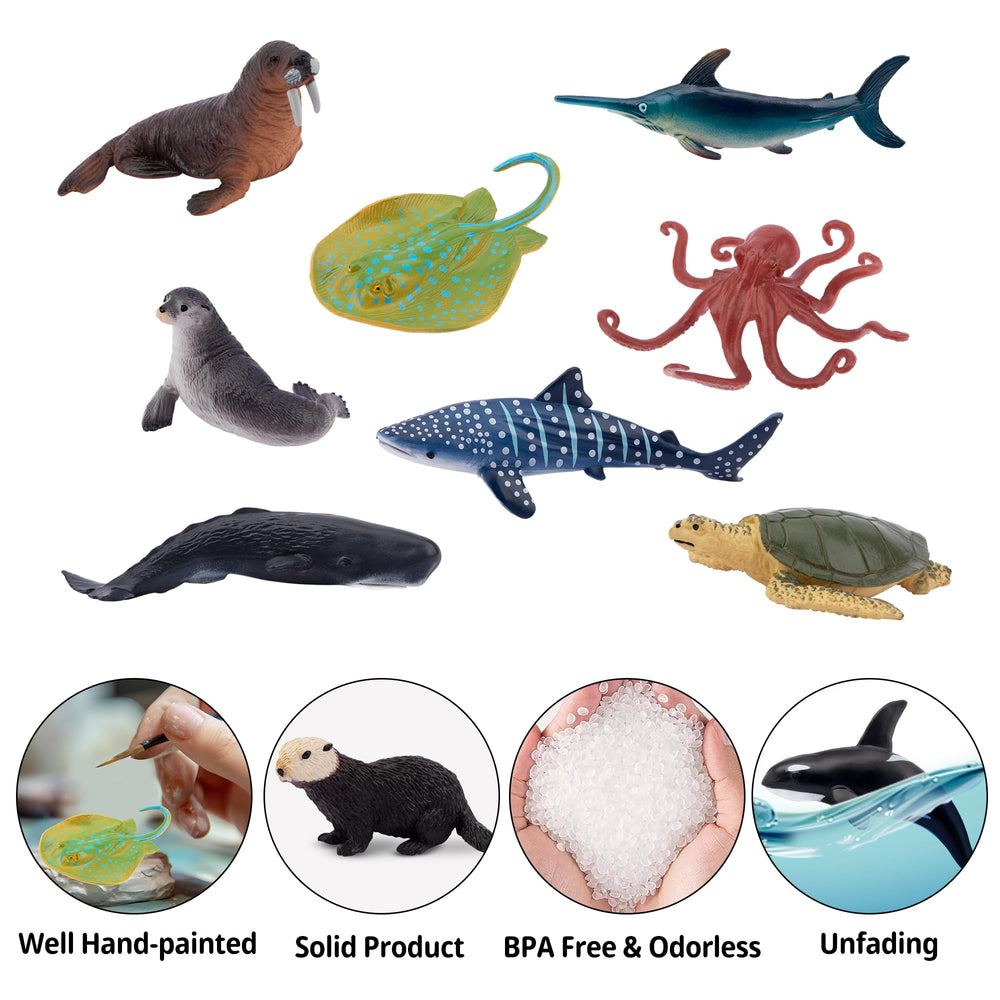 Toymany PVC-safe materials ensure child-friendly play.