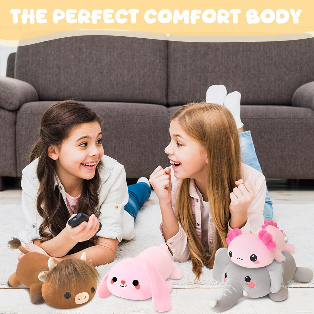 TOYSYM Axolotl weighted plush gift-ready packaging for birthdays