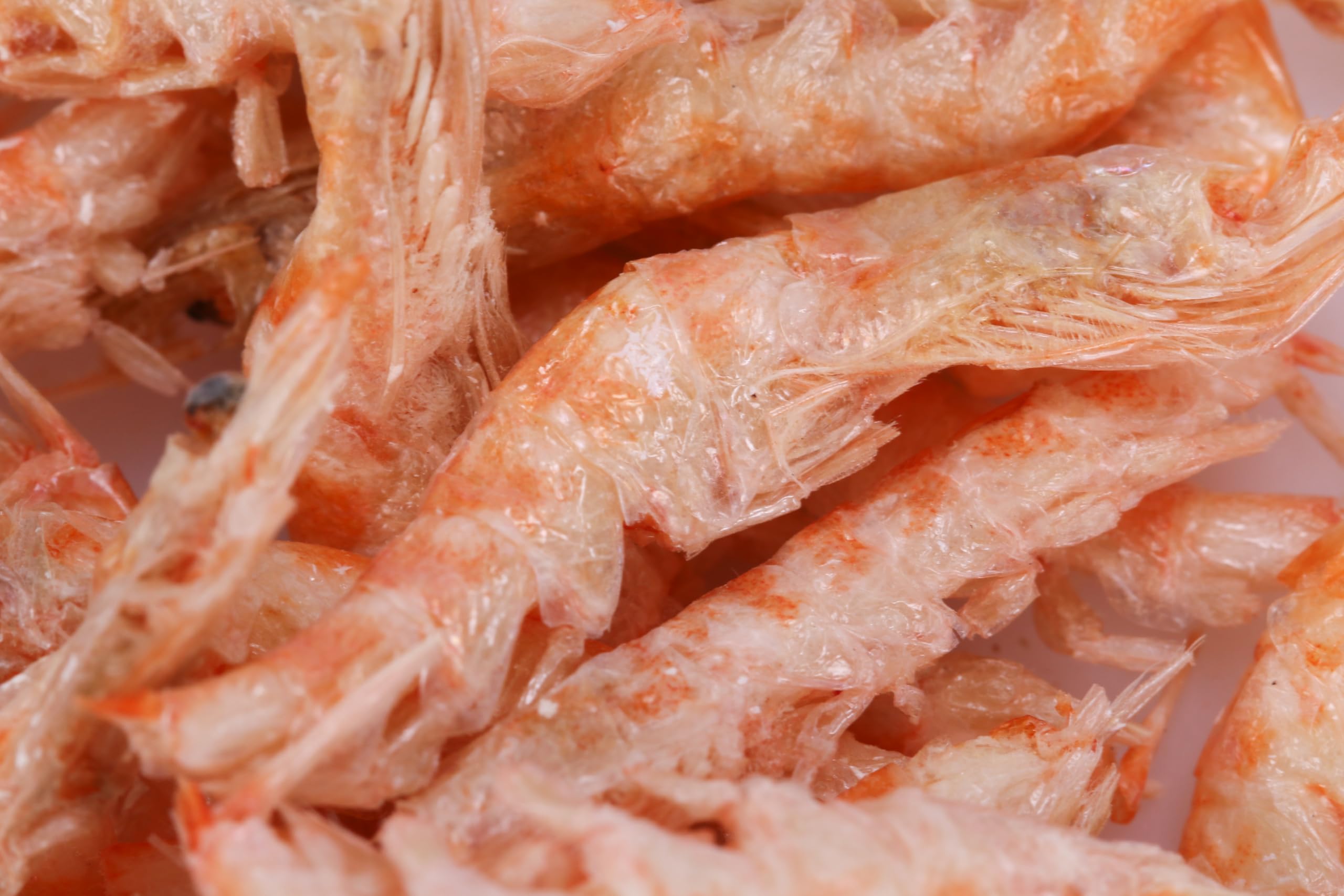 Toyuto Premium krill-shrimp color-boost hints at vibrant fish hues.