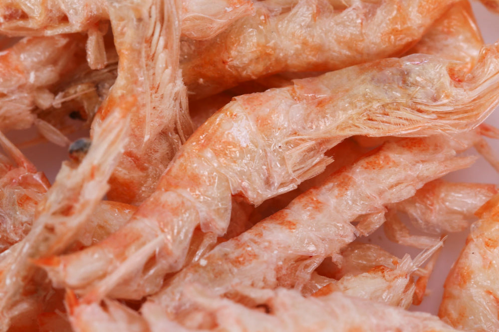 Toyuto Premium krill-shrimp color-boost hints at vibrant fish hues.