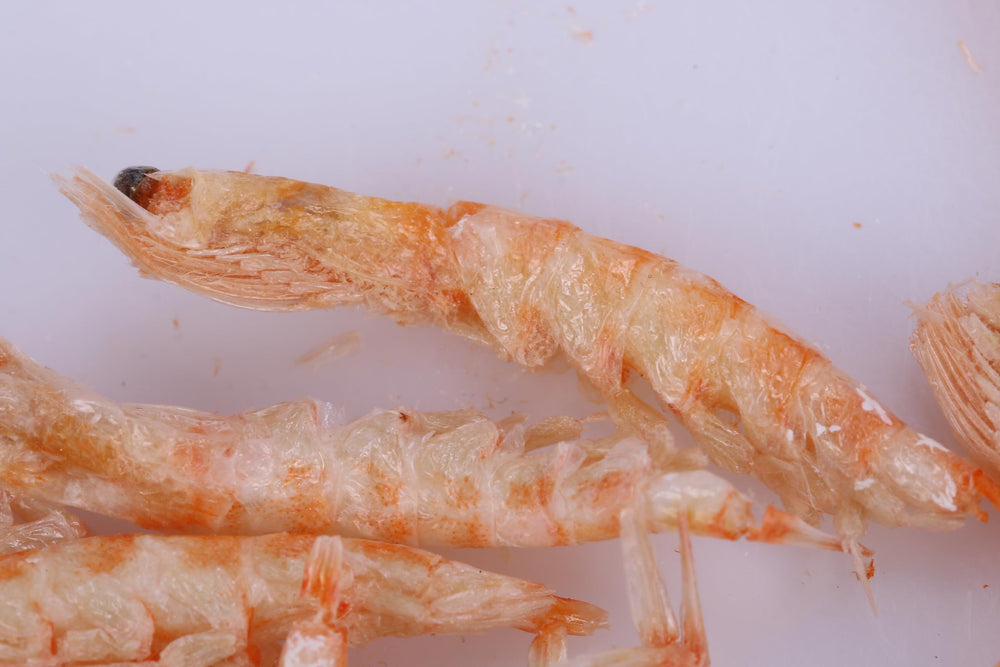 Toyuto Premium krill-shrimp colorful-fishes-in-tank suggests enhanced vitality.