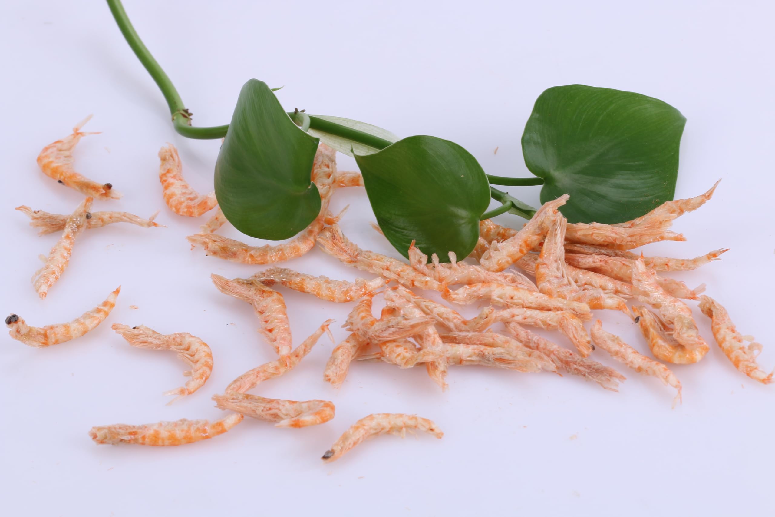 Toyuto Premium krill-shrimp eco-packaging-seal reflects sustainable sourcing.