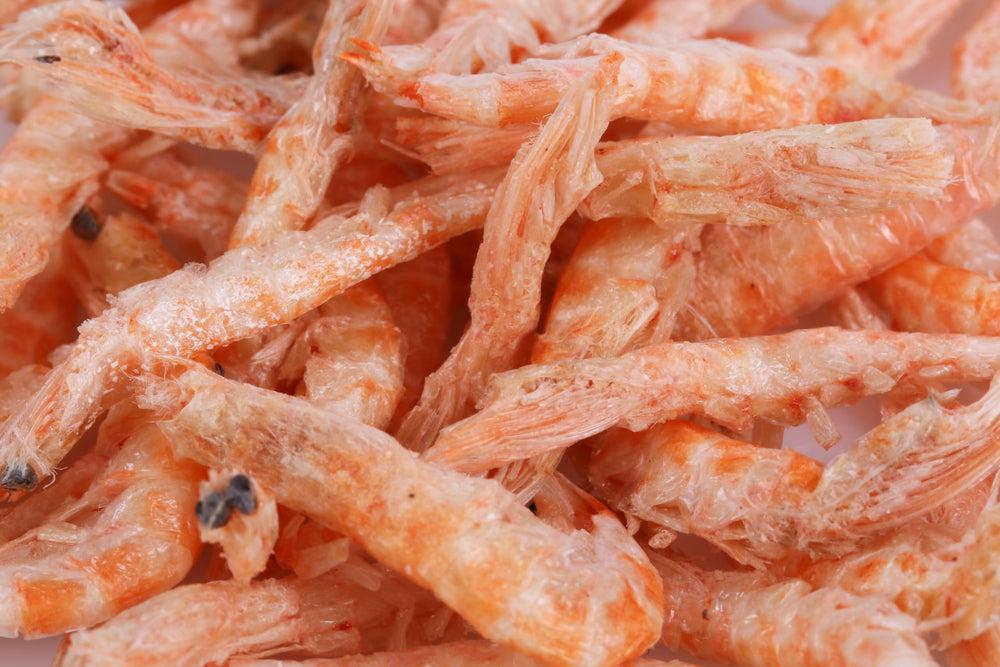 Toyuto Premium krill-shrimp feeding-scene captures lively tank moments.