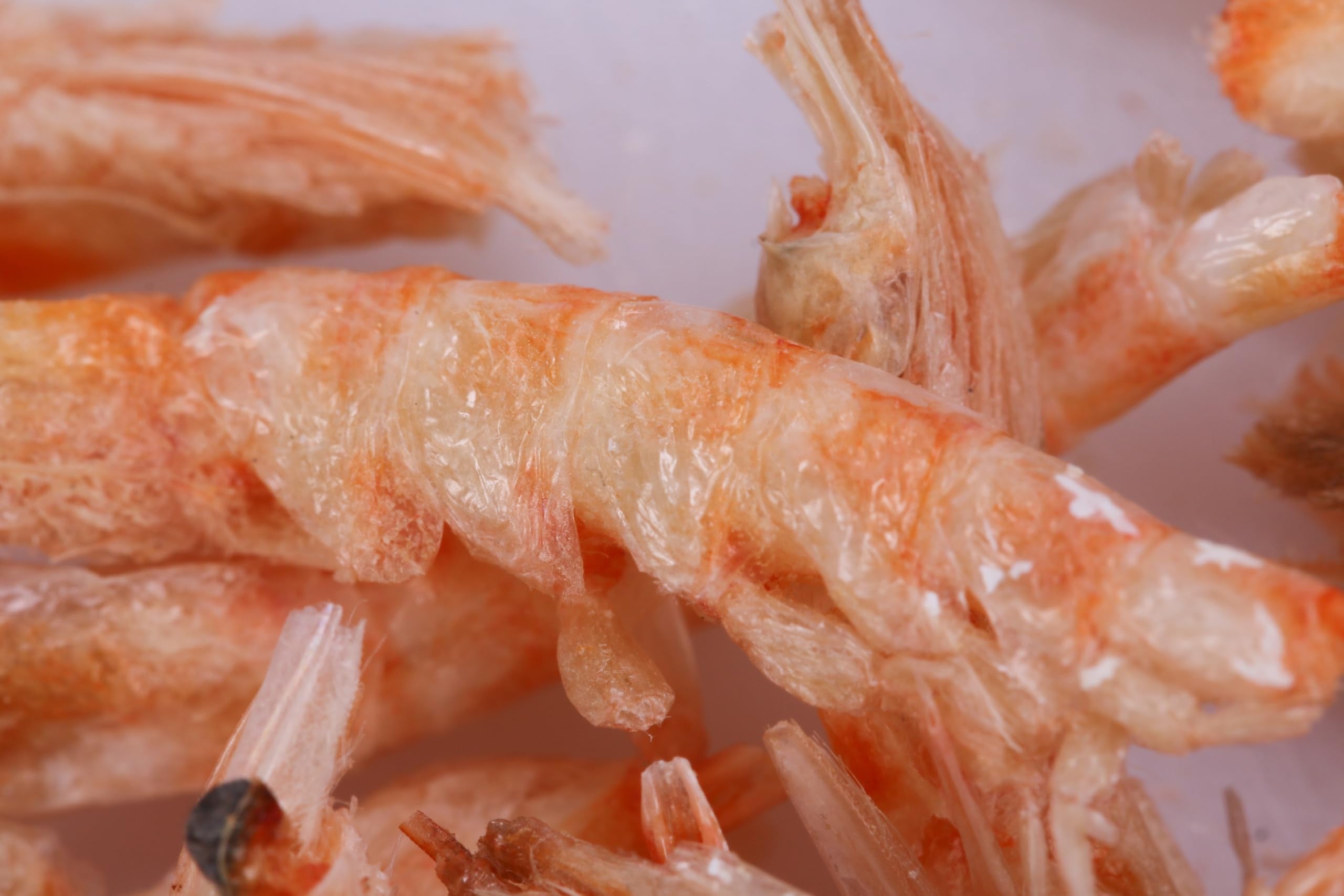 Toyuto Premium krill-shrimp macro-texture highlights delicate granules.