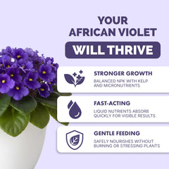 TPS NUTRIENTS African Violet Fertilizer bloom closeup shows vibrant color and fuller petals