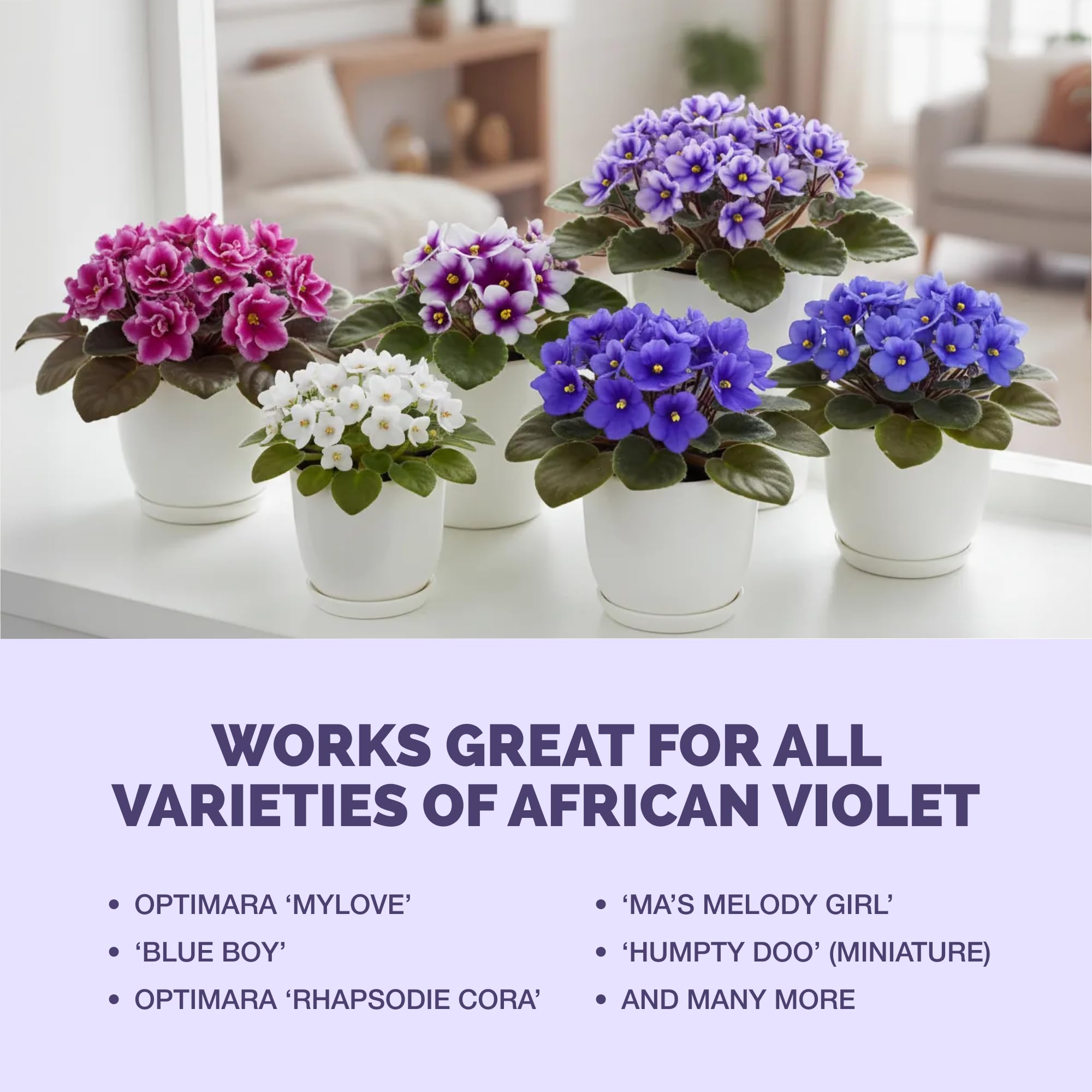 TPS NUTRIENTS African Violet Fertilizer easy dispense for convenient indoor feeding