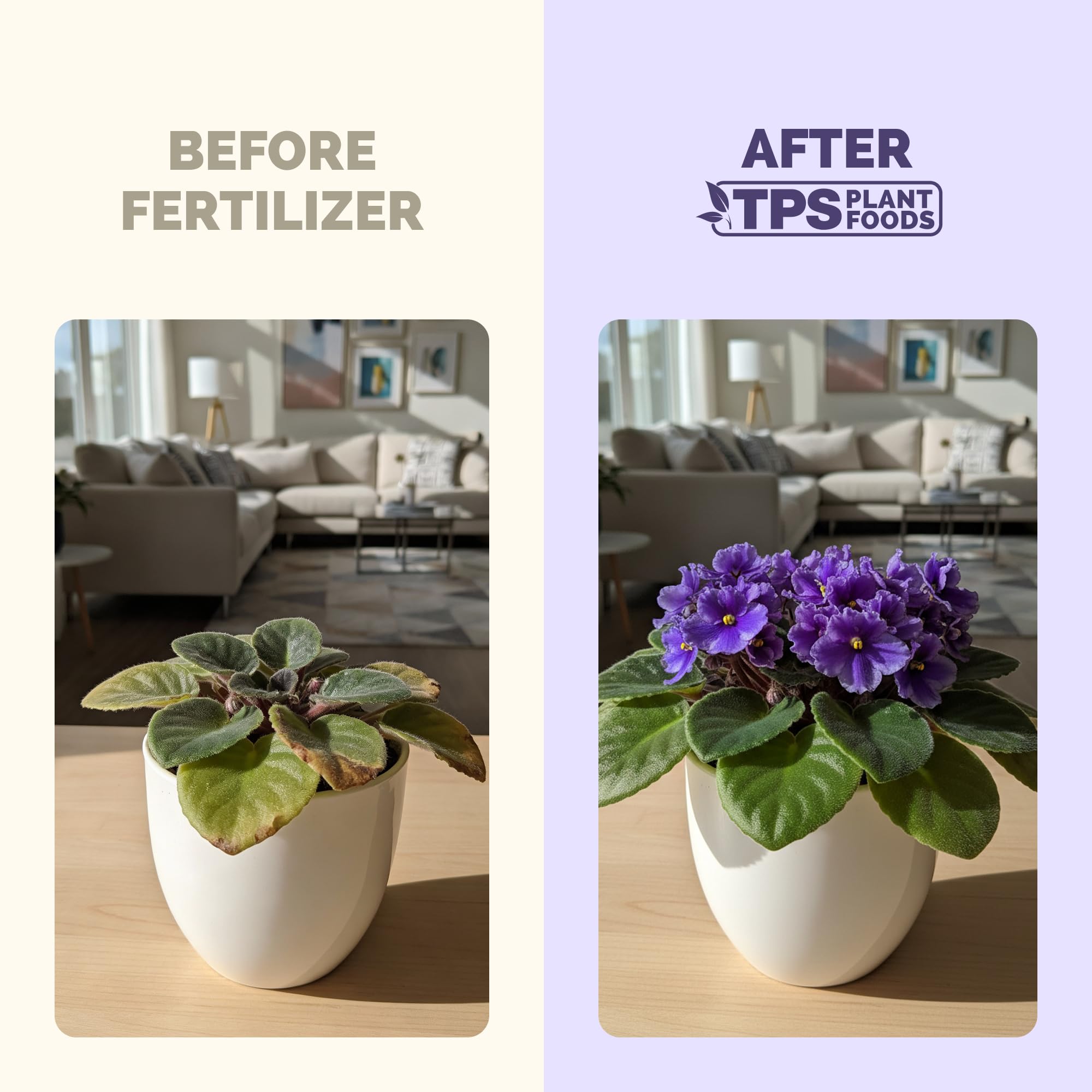 TPS NUTRIENTS African Violet Fertilizer leaves rich color for healthy indoor violet foliage