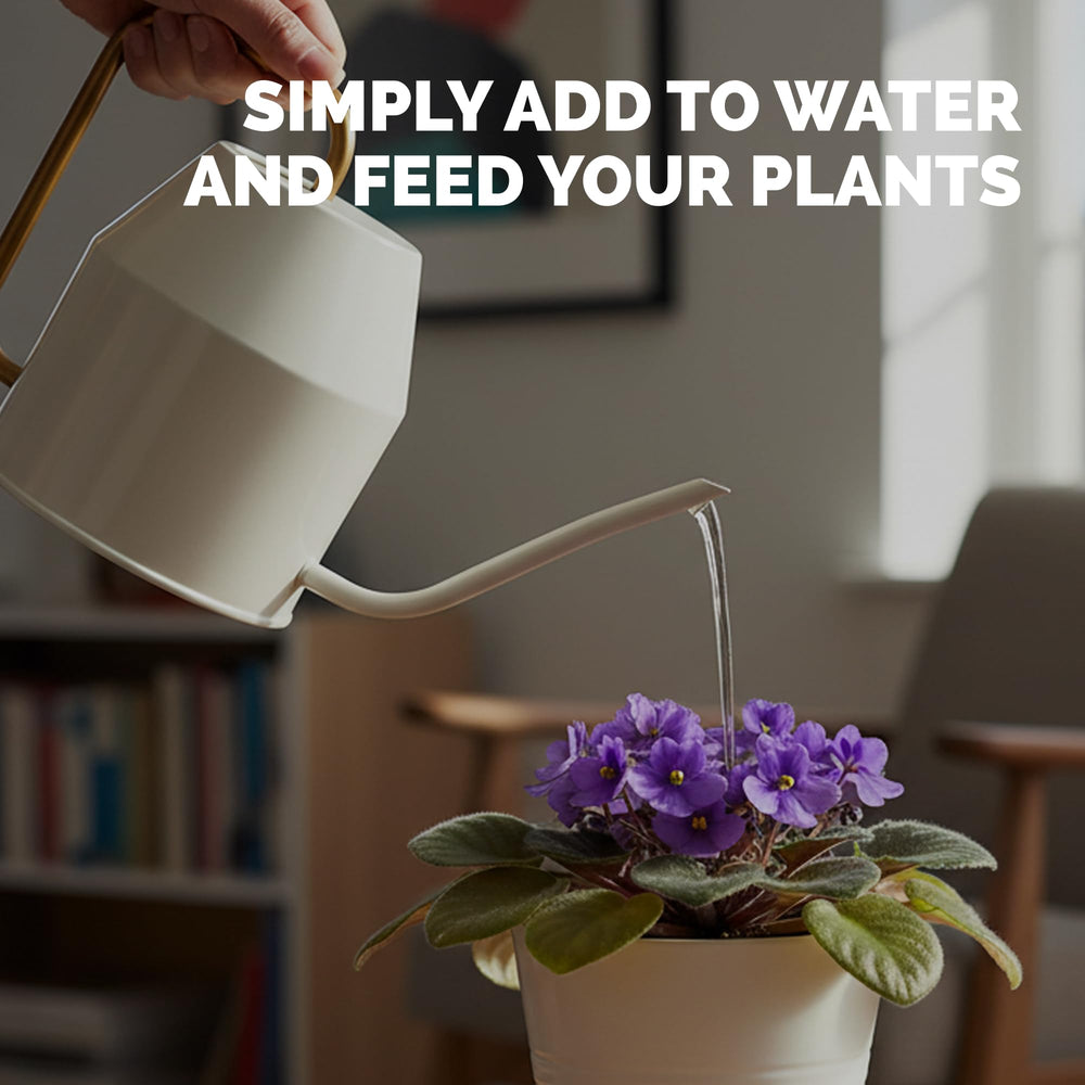 TPS NUTRIENTS African Violet Fertilizer root development promotes healthy violet roots