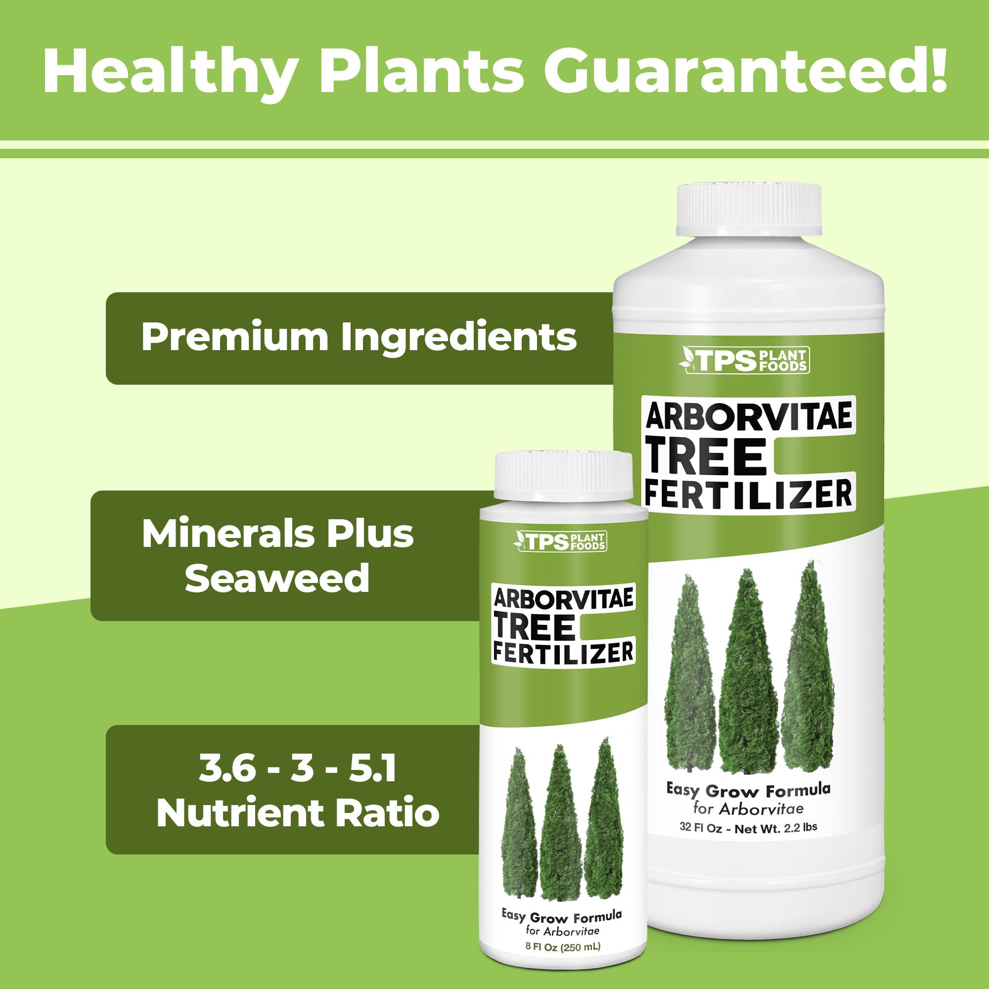 TPS NUTRIENTS Arborvitae dense foliage highlights vibrant evergreen coverage.