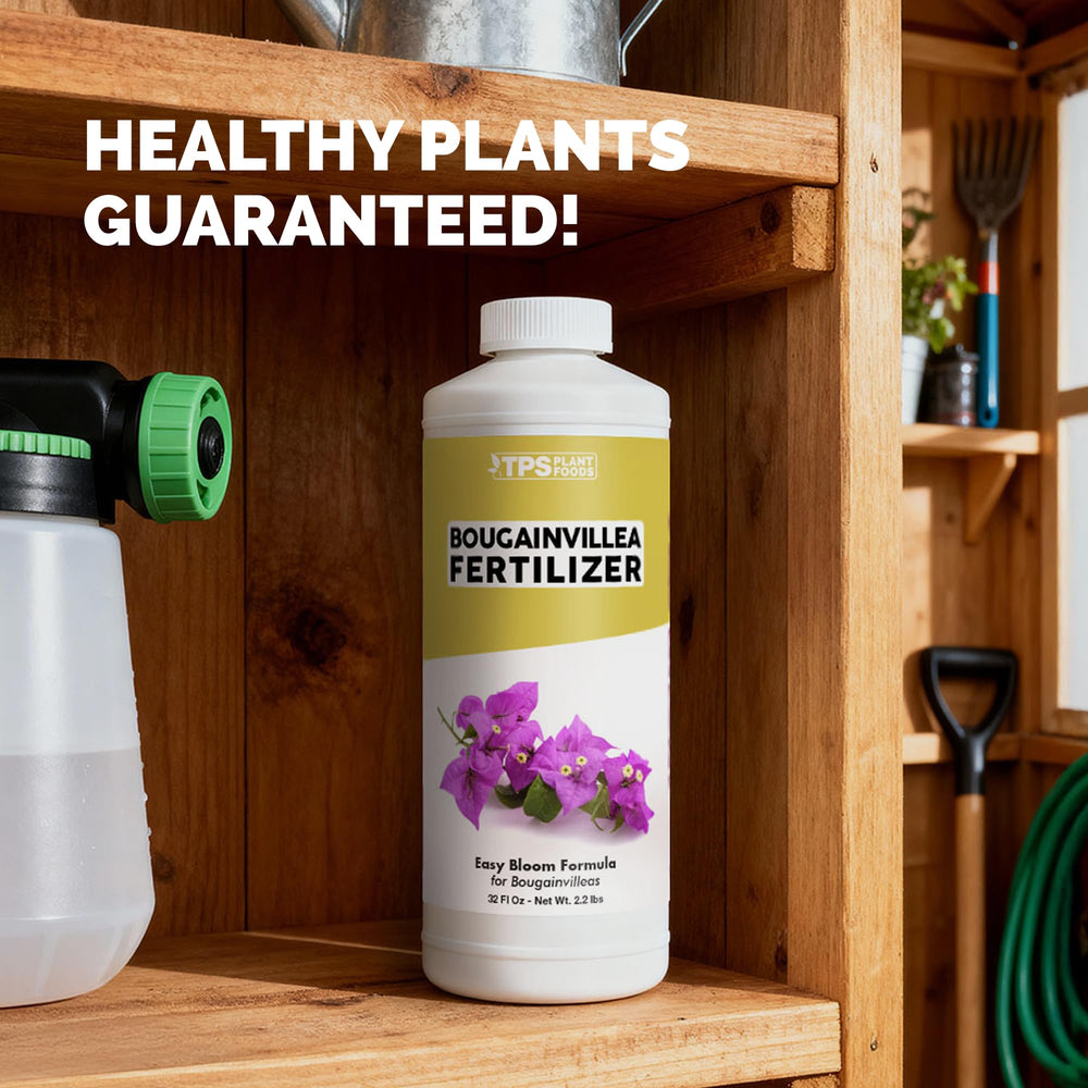 TPS NUTRIENTS Bougainvillea 32oz bottle ready for feeding.