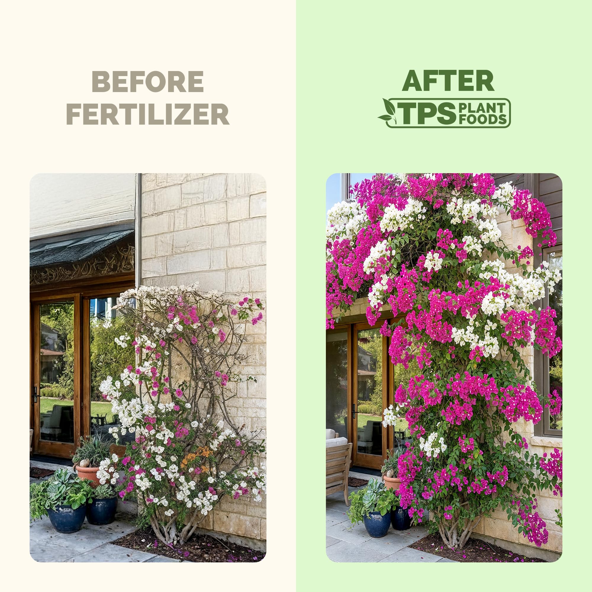 TPS NUTRIENTS Bougainvillea fertilizer dilution image demonstrates easy mixing.