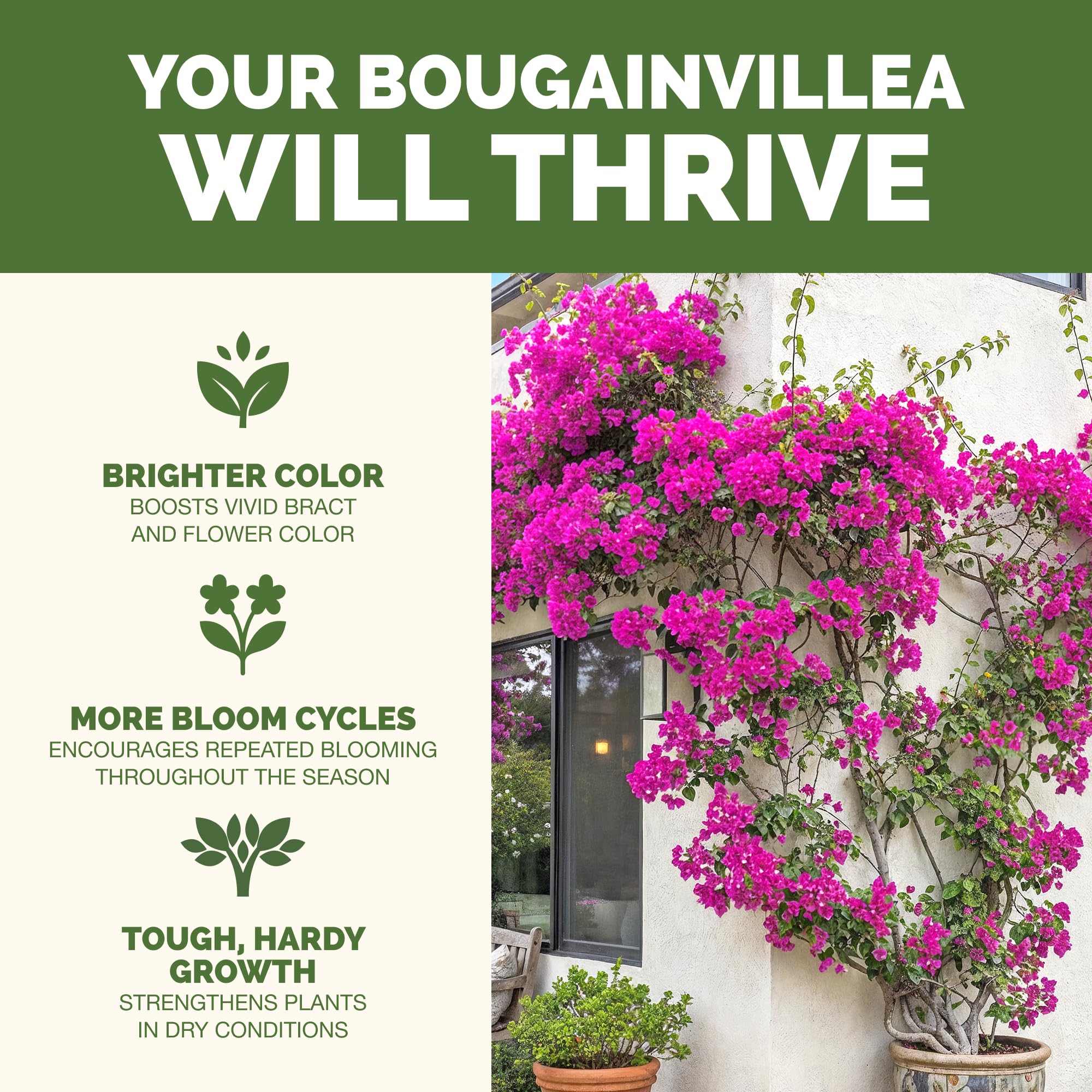 TPS NUTRIENTS Bougainvillea fertilizer label close-up showing product details.