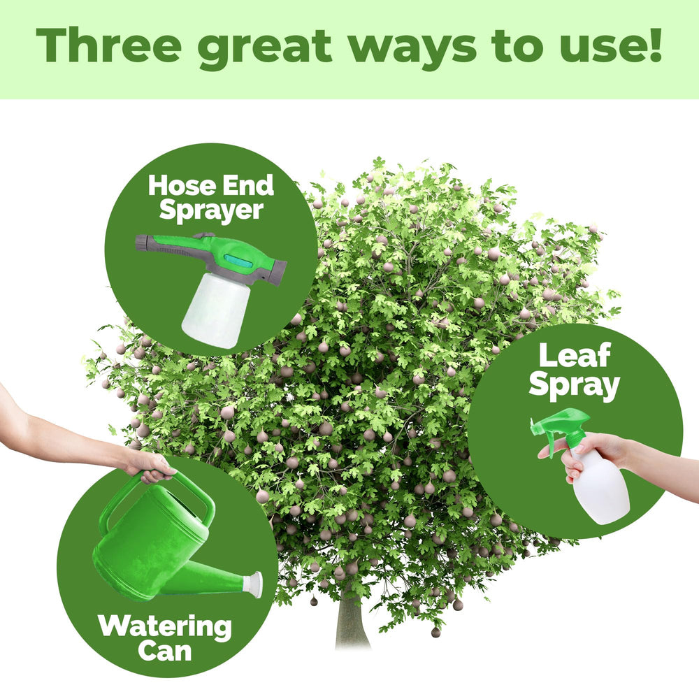 TPS NUTRIENTS Fig Tree Fertilizer garden scene highlights stronger roots and lush foliage.