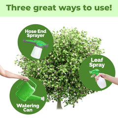 TPS NUTRIENTS Fig Tree Fertilizer garden scene highlights stronger roots and lush foliage.