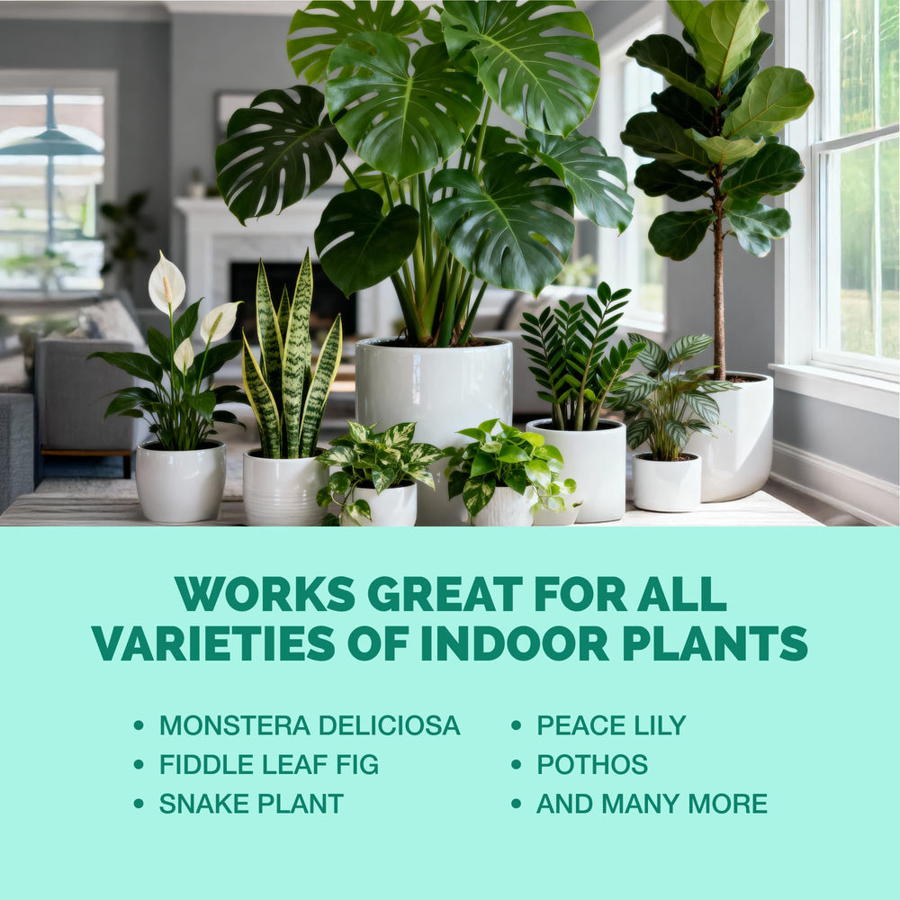 TPS NUTRIENTS Indoor Plant Food 8oz bottle featured for indoor use