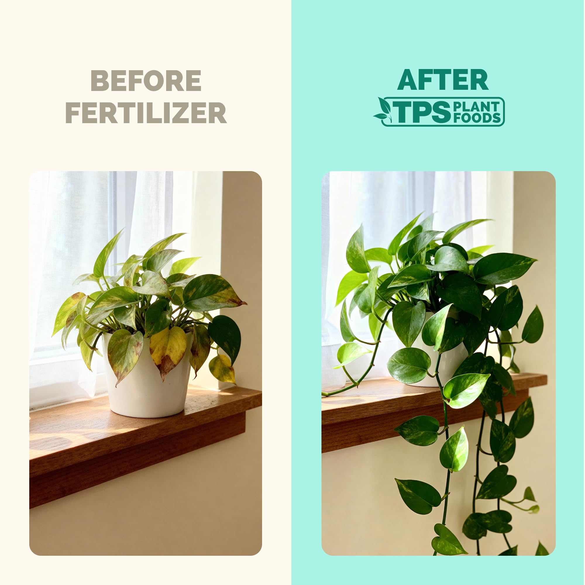 TPS NUTRIENTS Indoor Plant Food poured into watering can for simple feeding