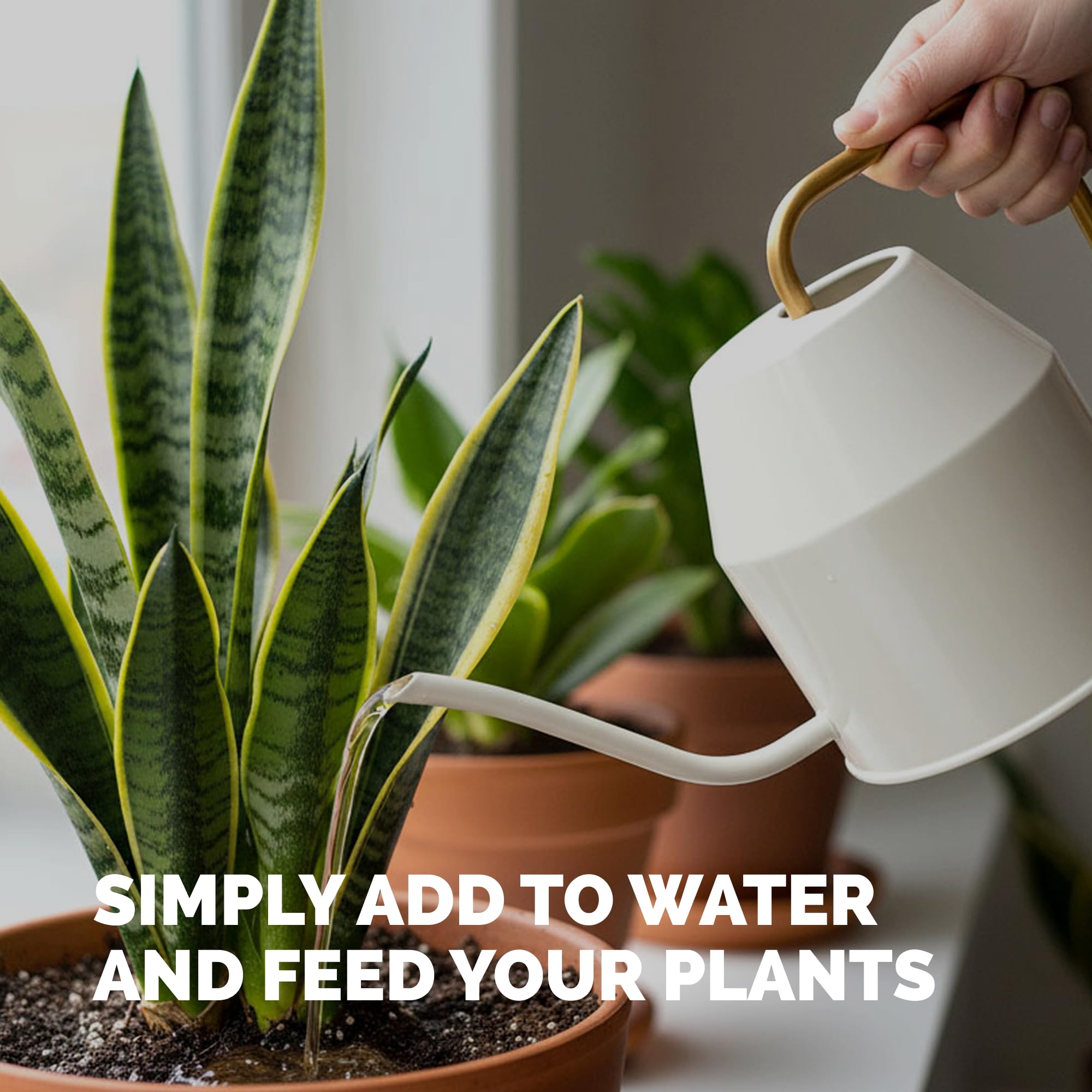 TPS NUTRIENTS Indoor Plant Food supports strong roots during repotting
