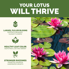 TLS NUTRIENTS Lotus Fertilizer label closeup showing product details