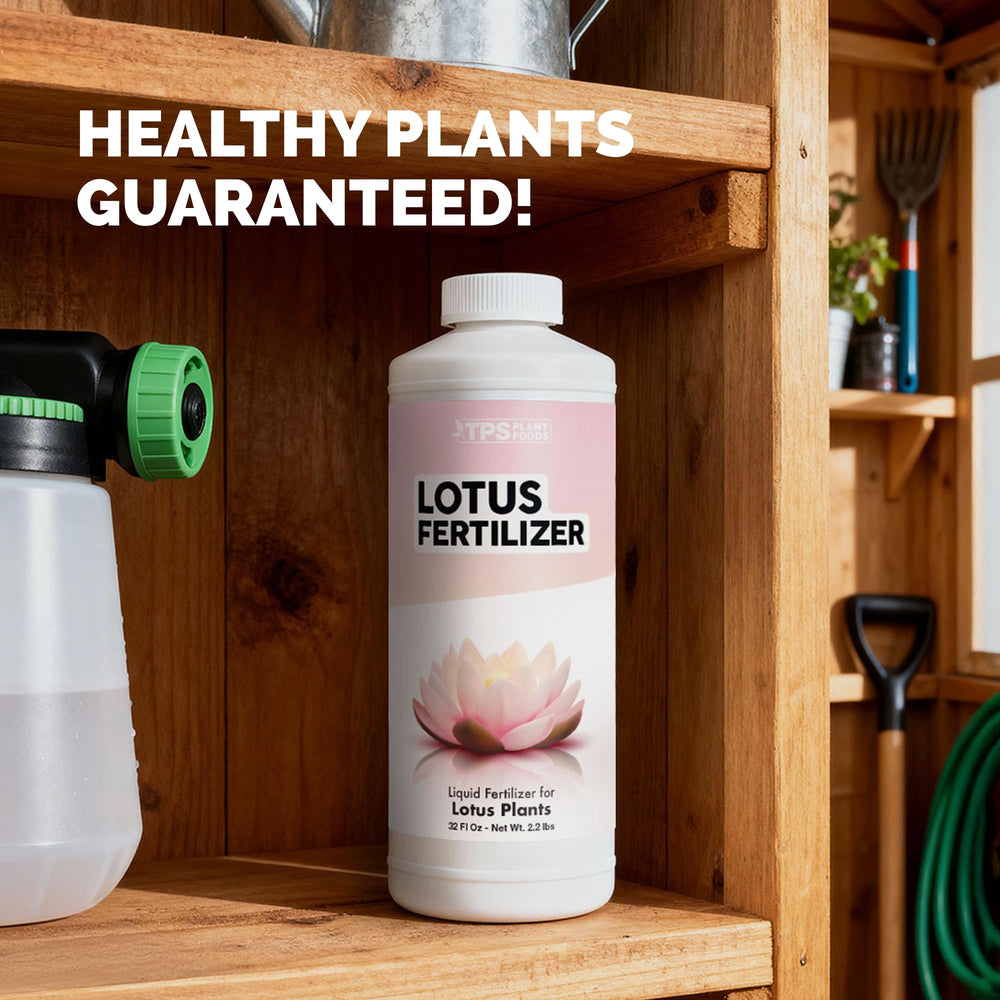 TPS NUTRIENTS Lotus Fertilizer enhances pond plant vitality