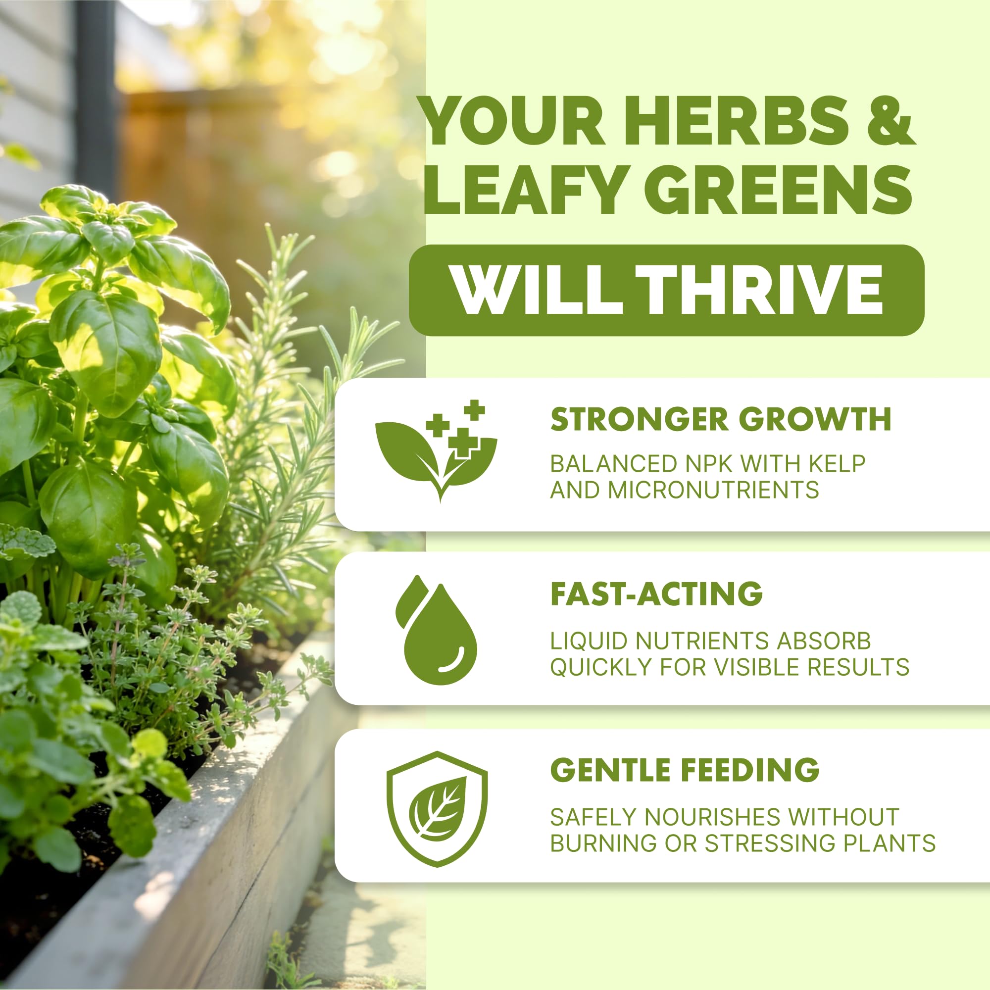 TPS NUTRIENTS lush green leaves indicate vibrant growth and balanced nutrition.