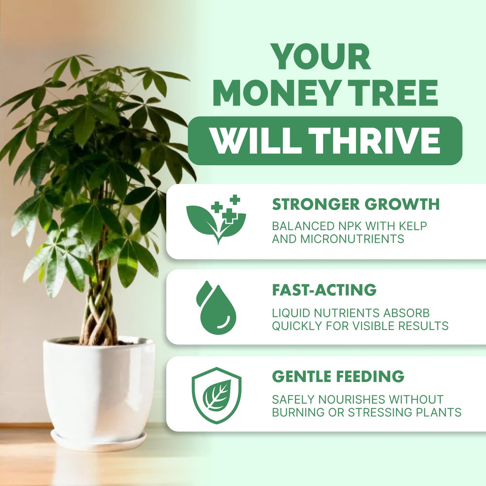 TPS Nutrients Money Tree fertilizer pour action enabling easy home feeding.