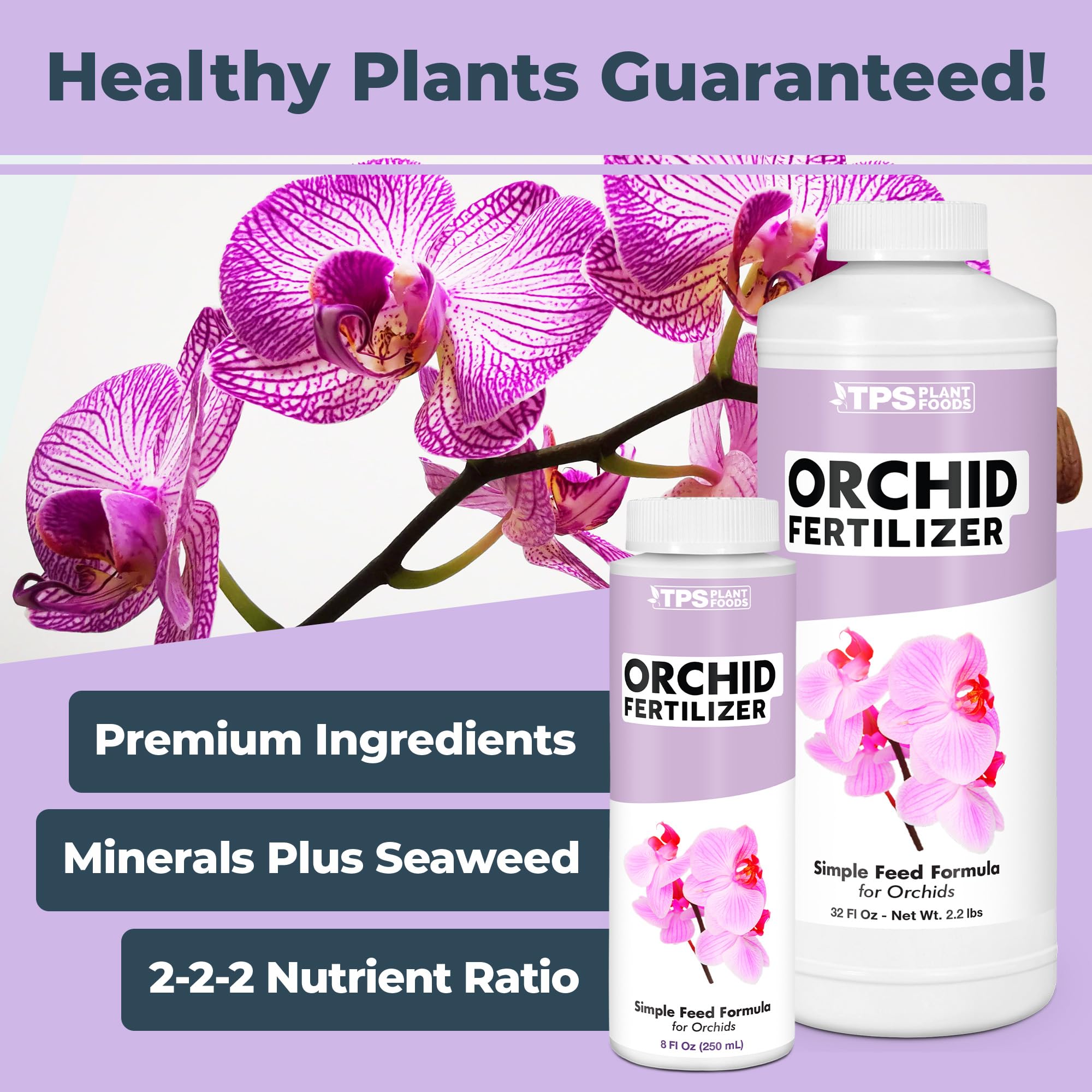 TPS NUTRIENTS Orchid Plant Food bloom-spike closeup highlights vibrant blooms and longer-lasting flowers.