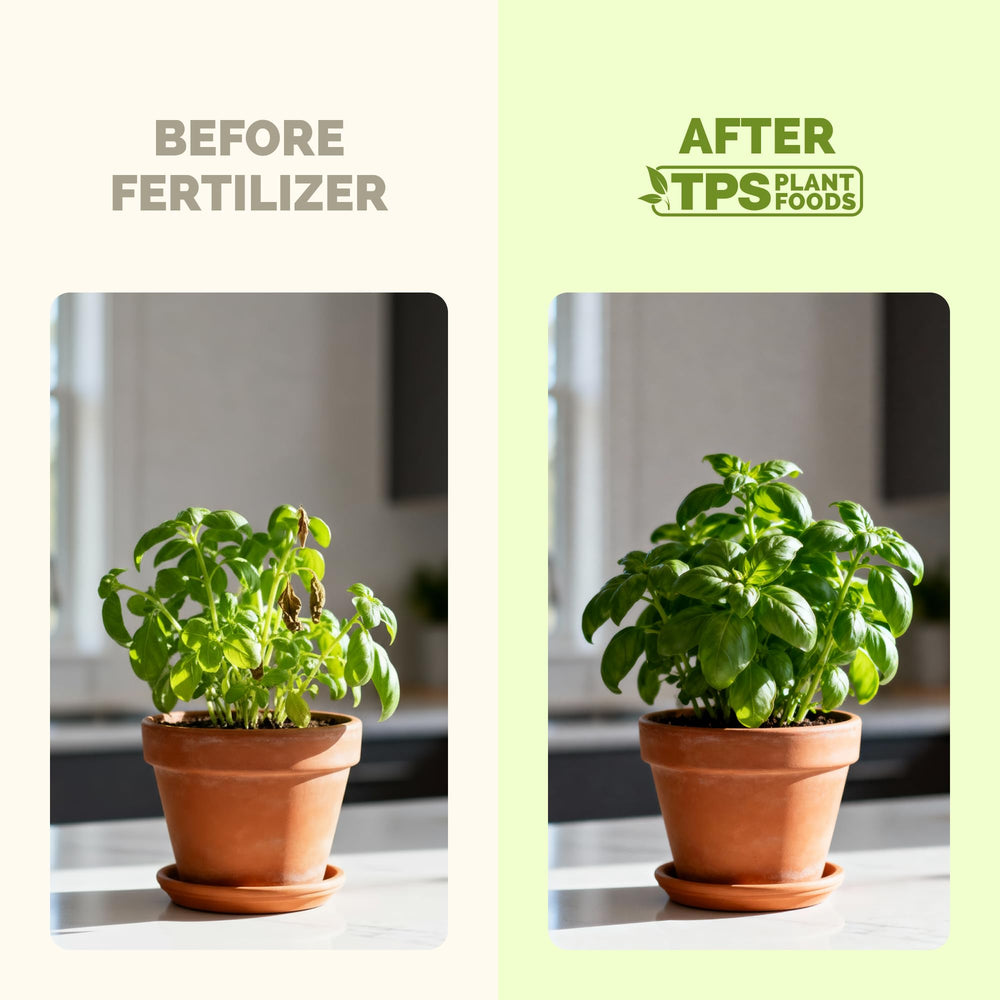 TPS NUTRIENTS potted herbs-in-pot demonstrates gentle nutrition for containers.