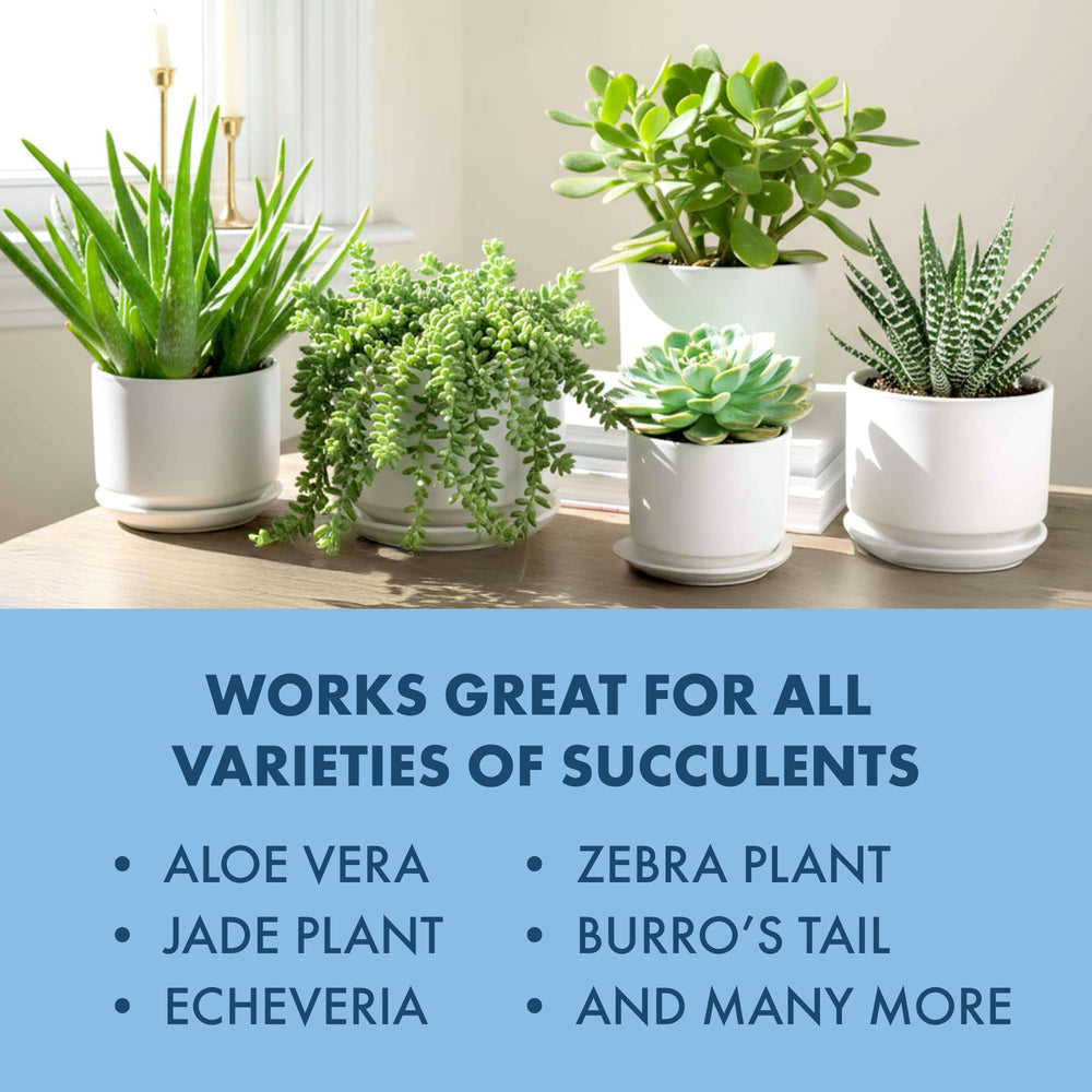 TPS NUTRIENTS succulent plant food container-safe formula reduces buildup in pots.