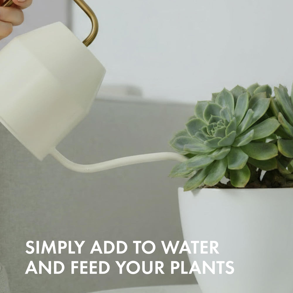TPS NUTRIENTS succulent plant food natural-color helps maintain vibrant hues over time.