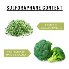 TradeKing broccoli seeds in a resealable bag stay fresh longer.