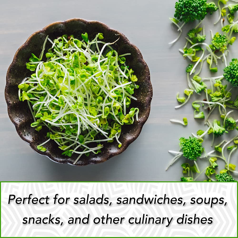 Broccoli sprouts from TradeKing add crunch to salads.