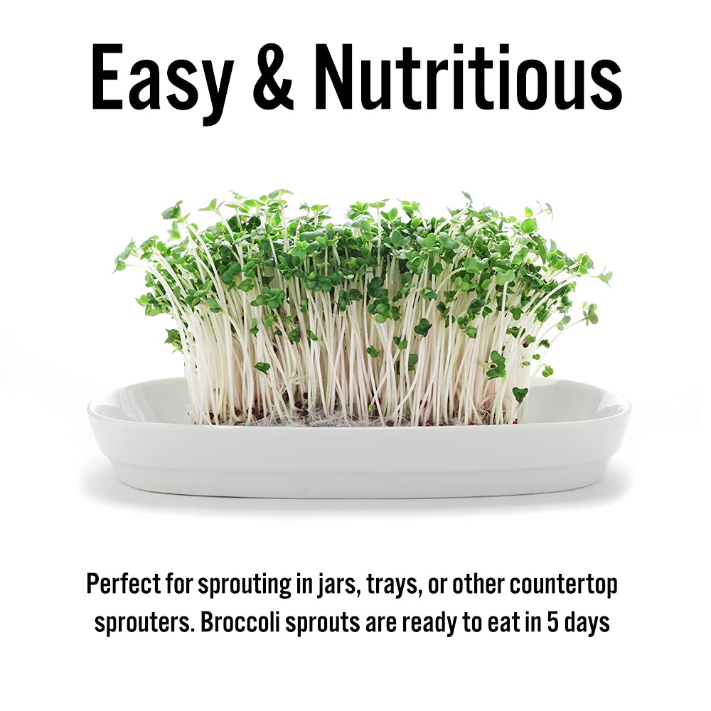 USA-grown TradeKing sprouts offer homegrown flavor and quality.