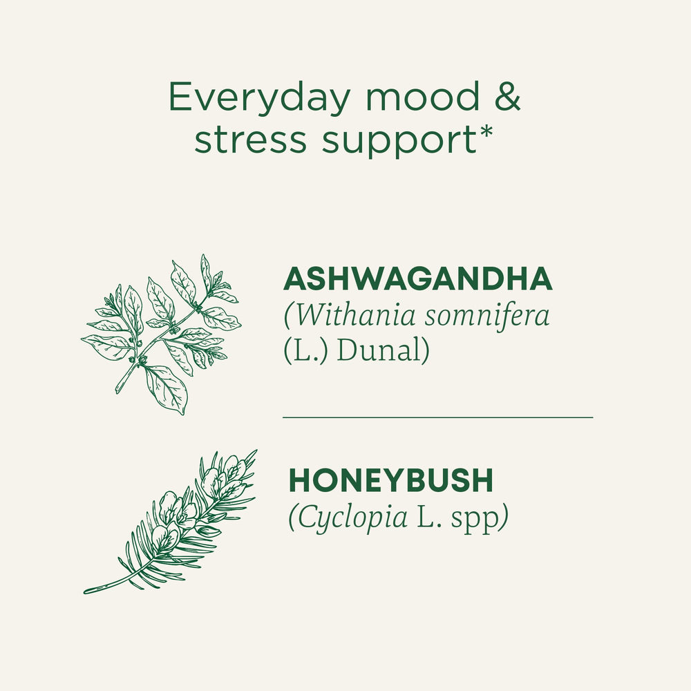 Traditional Medicinals Ashwagandha-Honeybush tea cup reveals floral, mildly sweet flavors.