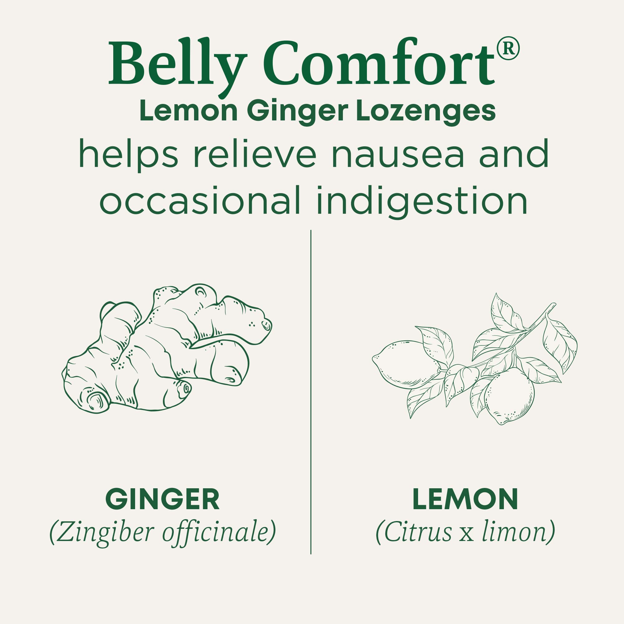 Traditional Medicinals Belly Comfort Lozenges organic packaging offer non-GMO, stimulant-free relief.