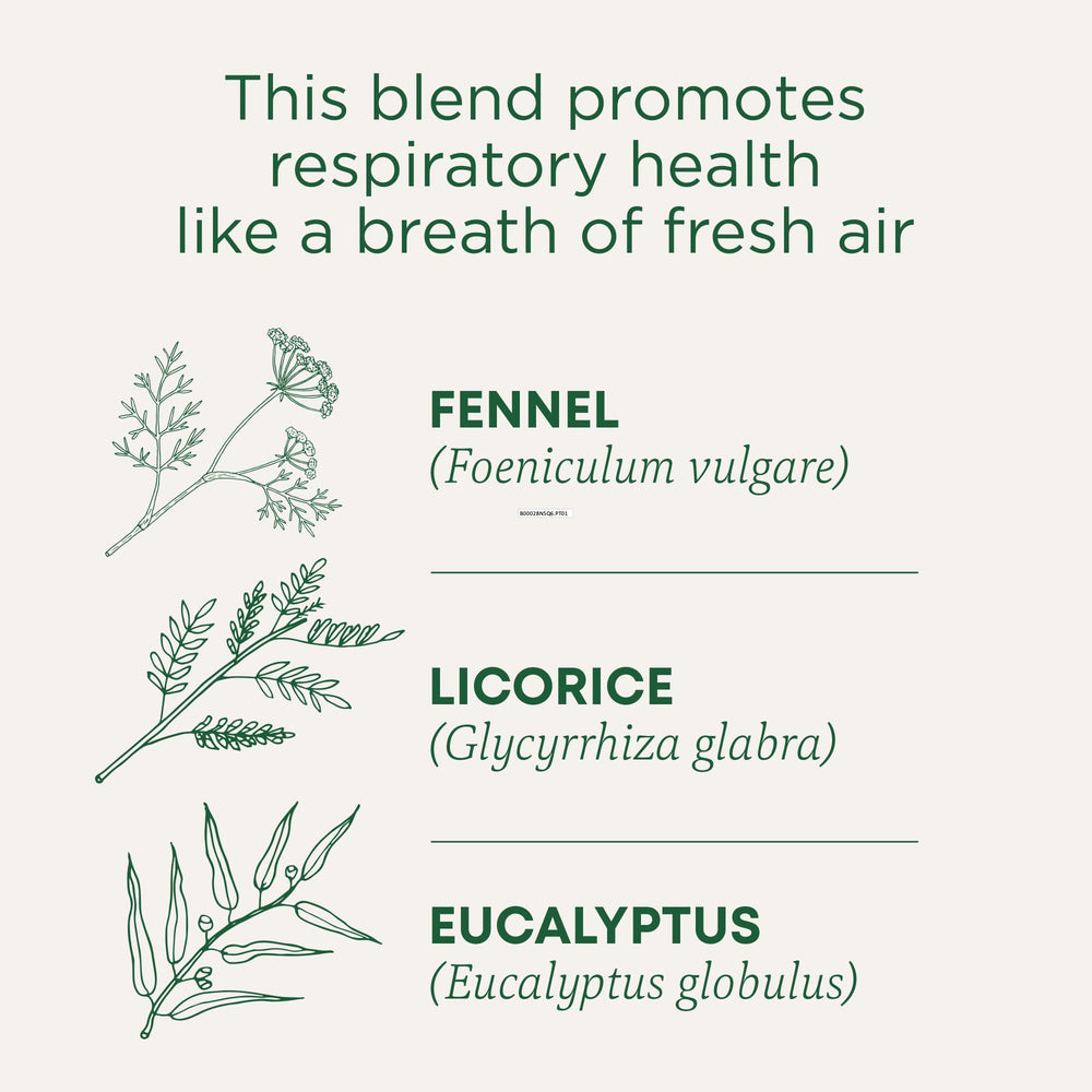 Steaming cup of Traditional Medicinals Breathe Easy Eucalyptus Mint tea for soothing aroma