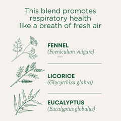 Steaming cup of Traditional Medicinals Breathe Easy Eucalyptus Mint tea for soothing aroma