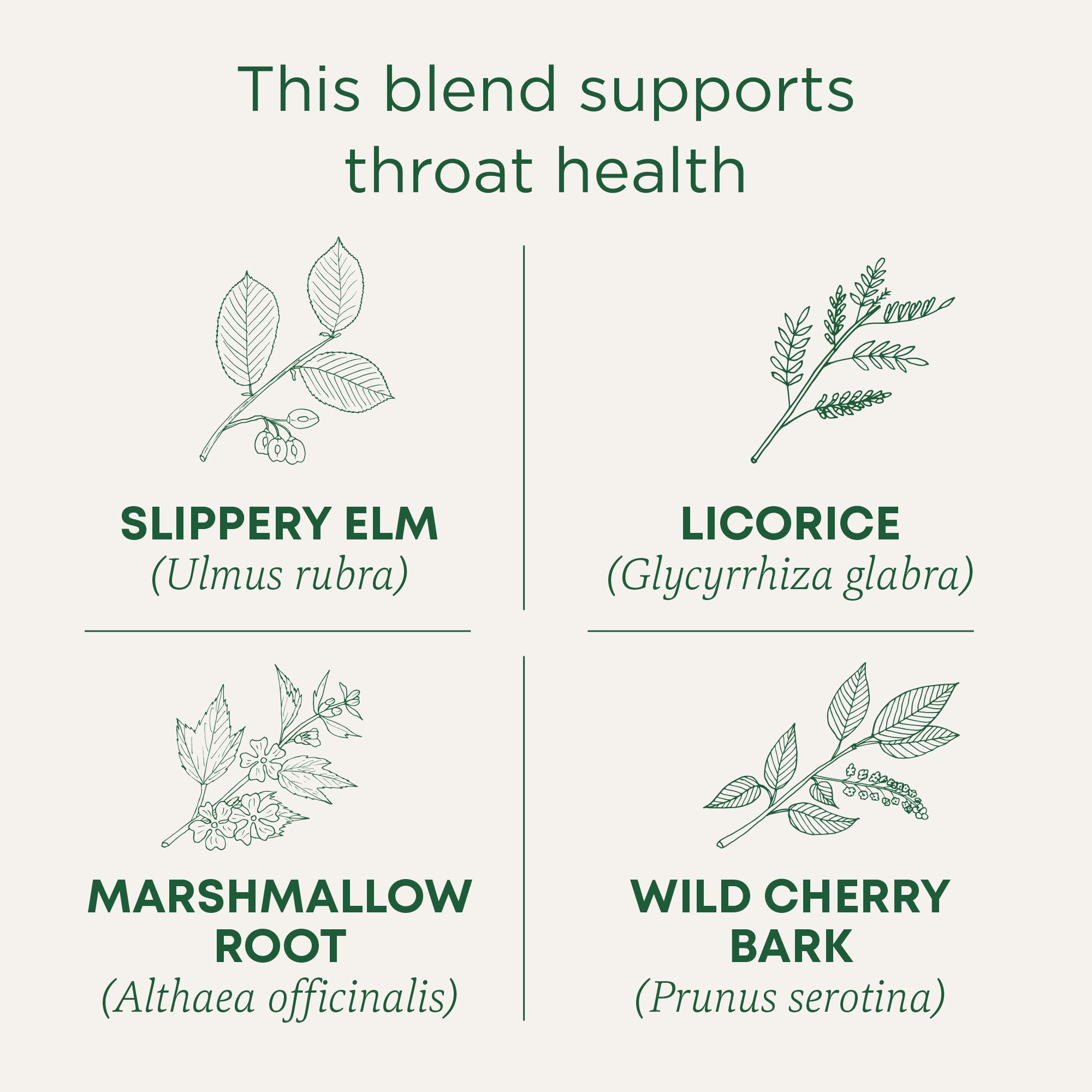 Caffeine-free formulation suited for evening tea moments.