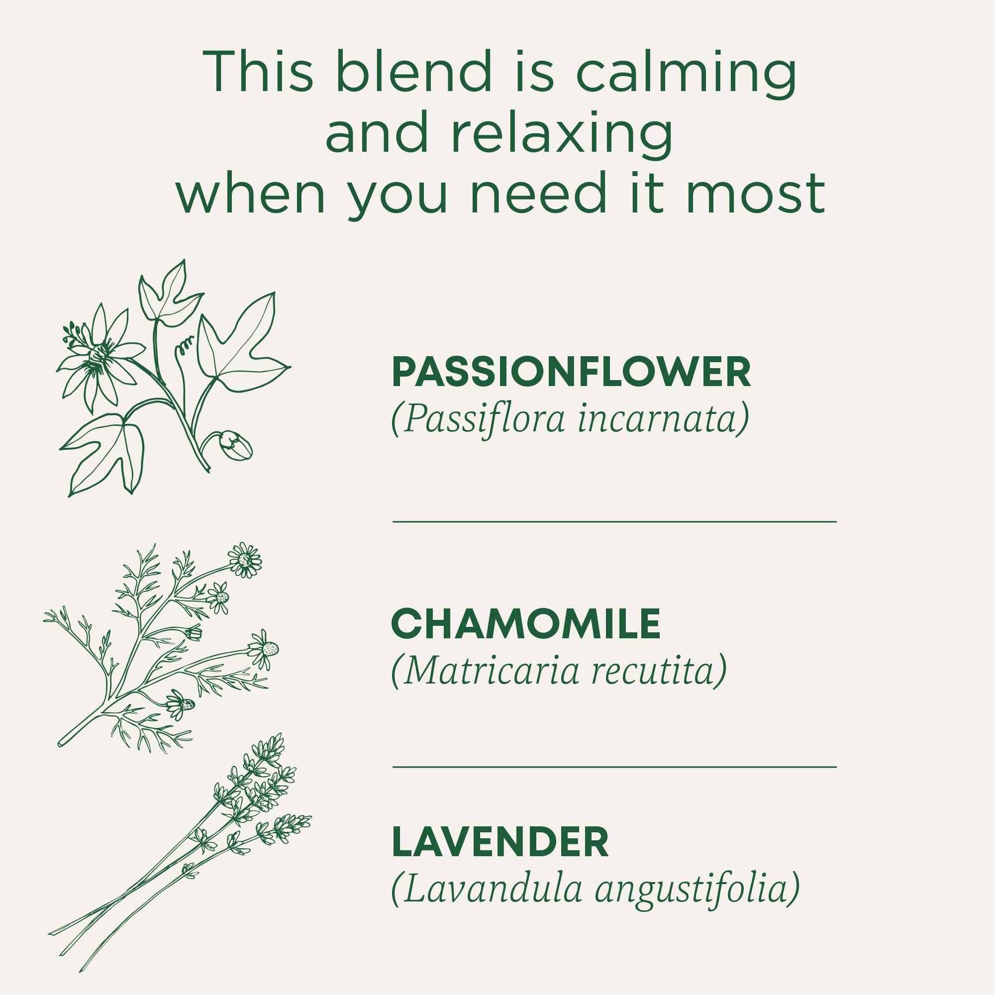Traditional Medicinals chamomile flowers close-up highlighting premium blossoms
