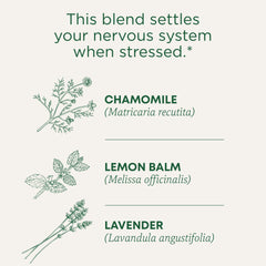 Hot cup of Traditional Medicinals tea with steam