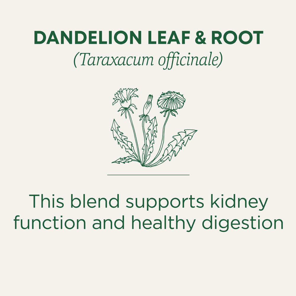 Traditional Medicinals Dandelion Root and Leaf harvested for herbal infusion.